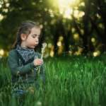 Alergia na trawy - objawy u dzieci